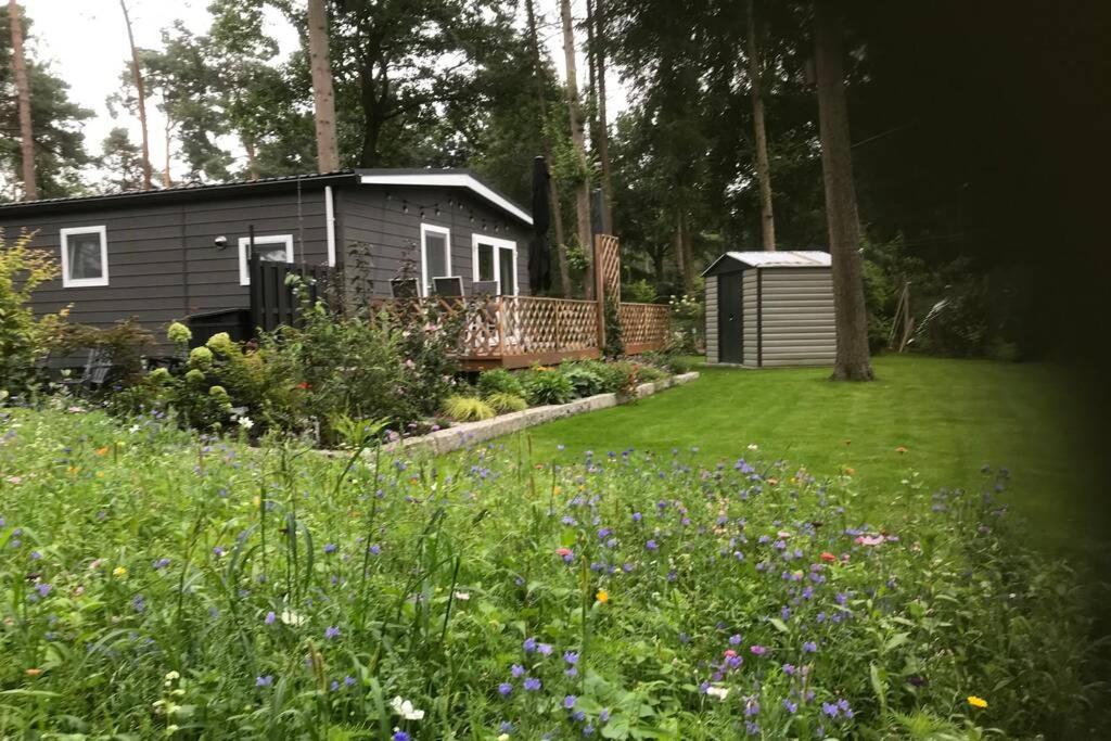Japanse Bostuin Met Wifi Villa Lochem Buitenkant foto